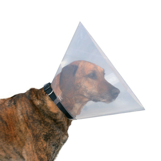  Collerette De Protection S-m 31-38cm / 15cm, Pour Chien