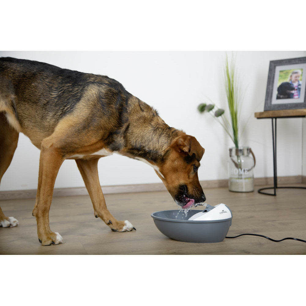 KERBL Fontaine Eyenimal Classic Pet 1,75 L Pour Petit Chien Et Chat
