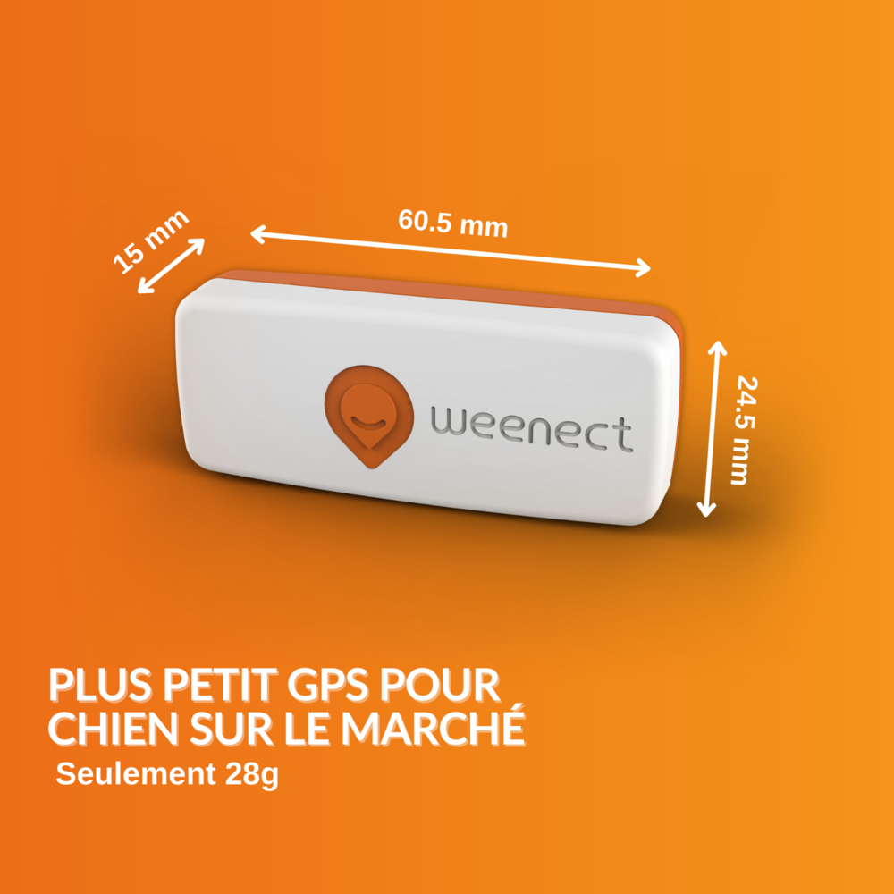  XS - Collier Gps Pour Chien ( White Edition 2023)