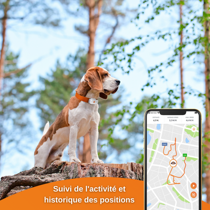  XS - Collier Gps Pour Chien ( White Edition 2023)