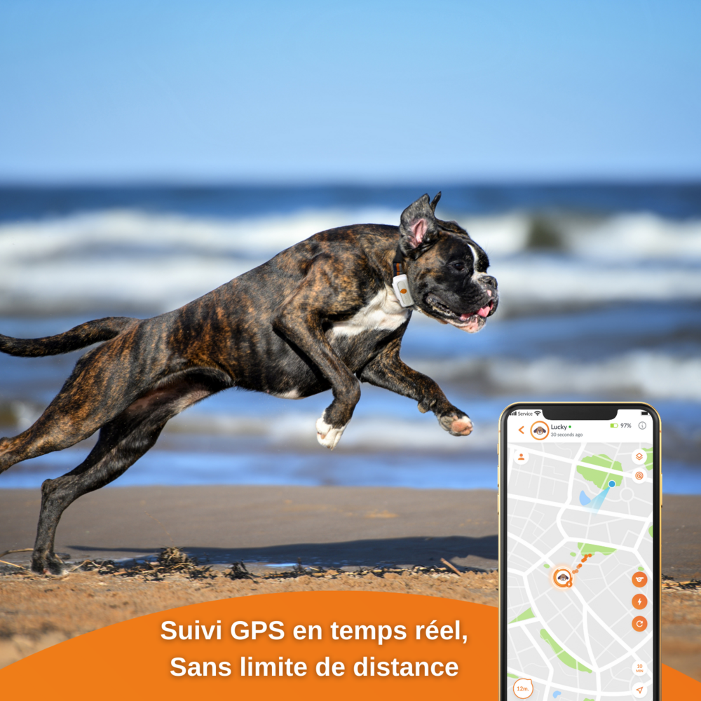  XS - Collier Gps Pour Chien ( White Edition 2023)
