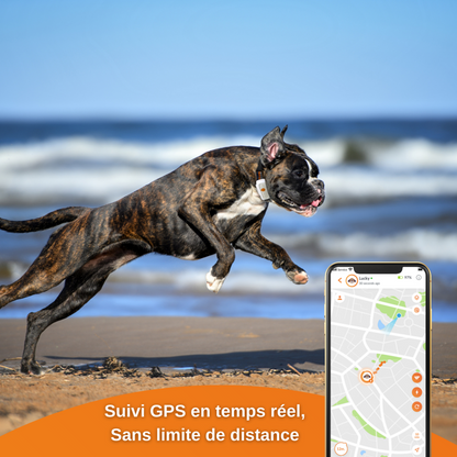  XS - Collier Gps Pour Chien ( White Edition 2023)