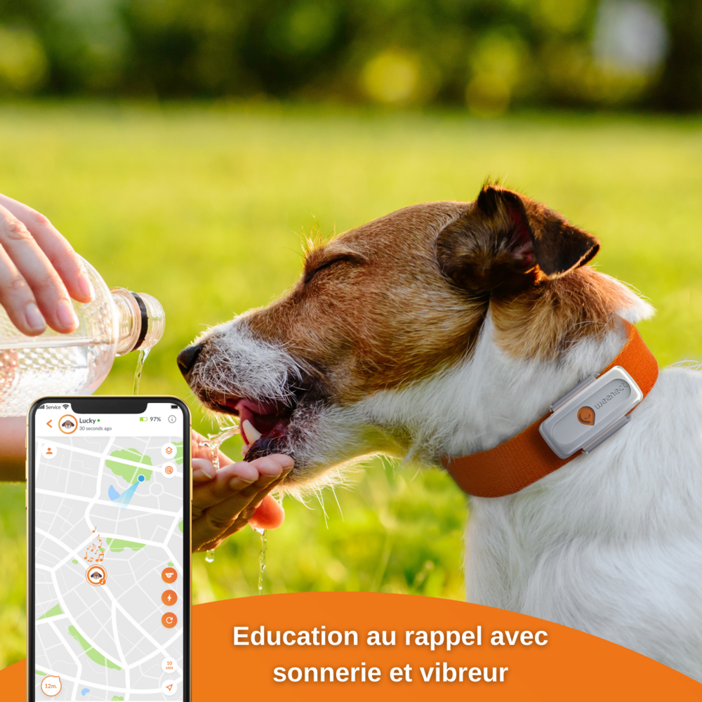  XS - Collier Gps Pour Chien ( White Edition 2023)