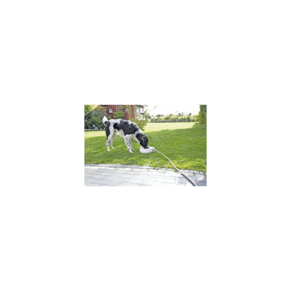  Abreuvoir Extérieur Automatique 1,5 Litre, Chien, Chat, Petit Animaux