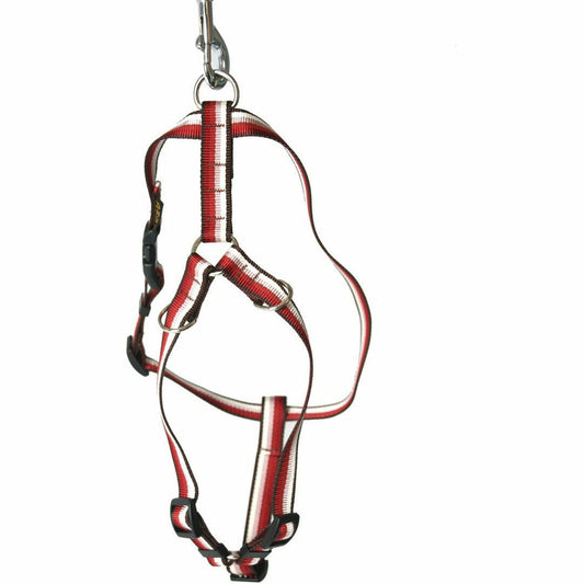 MARTIN SELLIER Harnais En Nylon Pour Chiens Arka Haok - Collection Baya