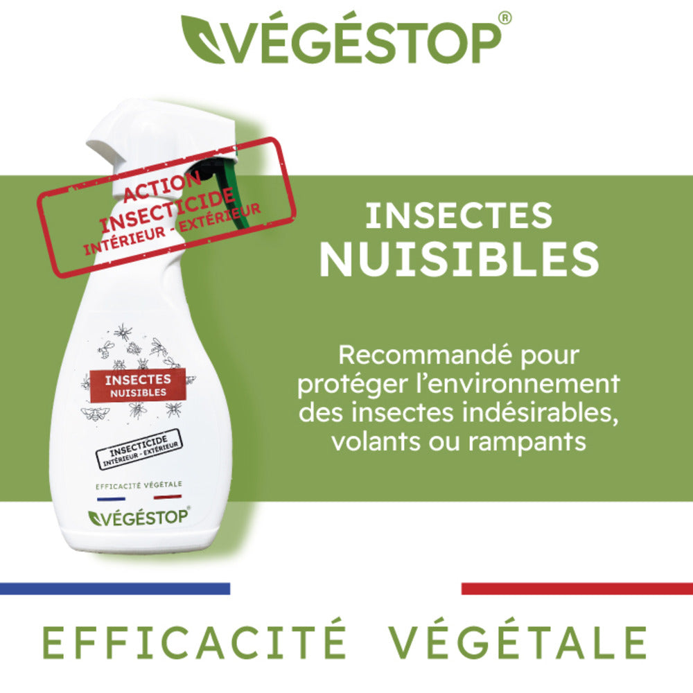  Insecticide Insectes Nuisibles - 500 Ml