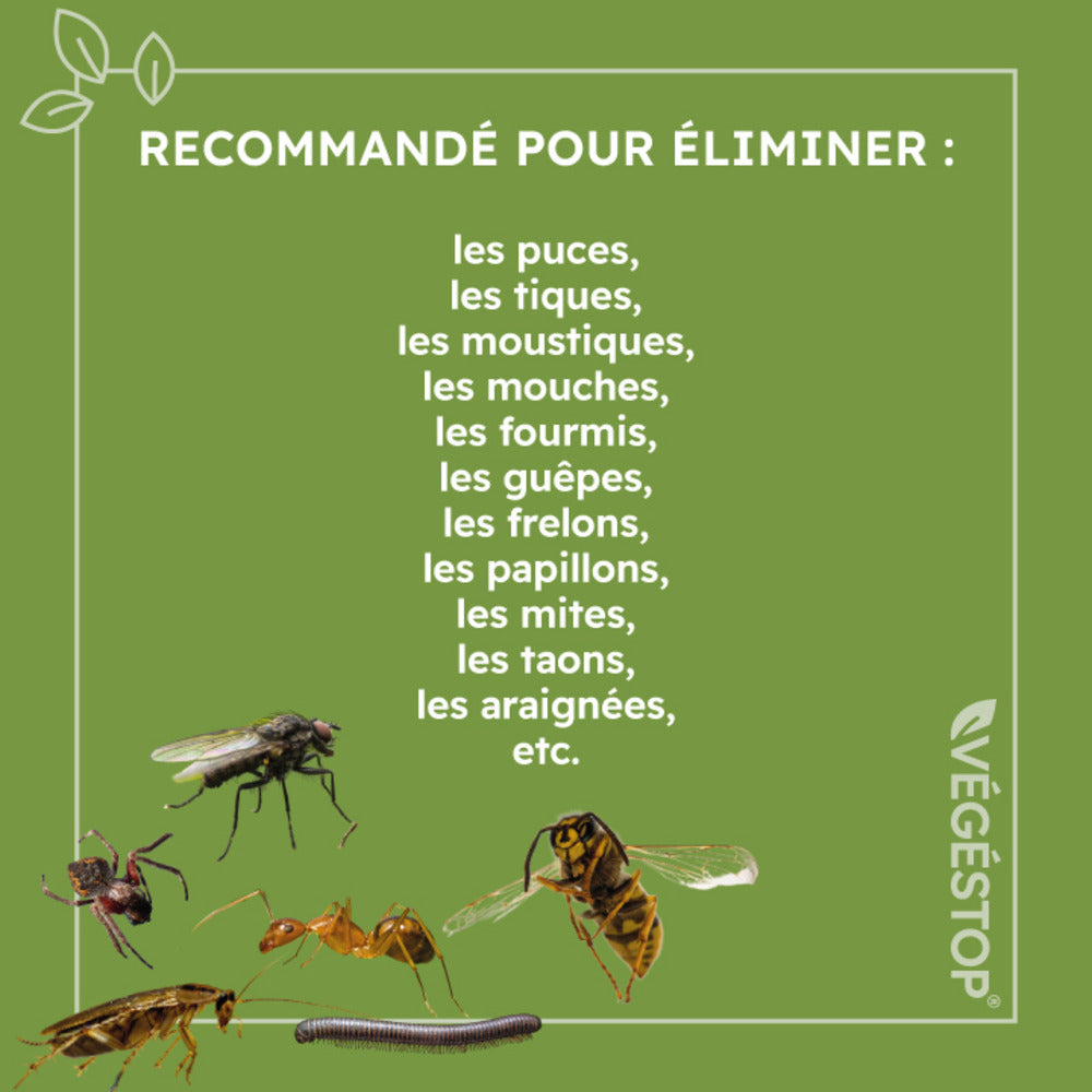  Insecticide Insectes Nuisibles - 500 Ml