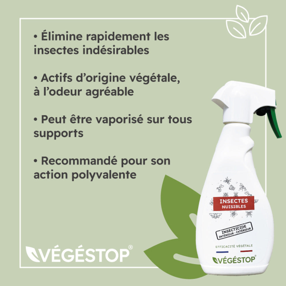  Insecticide Insectes Nuisibles - 500 Ml