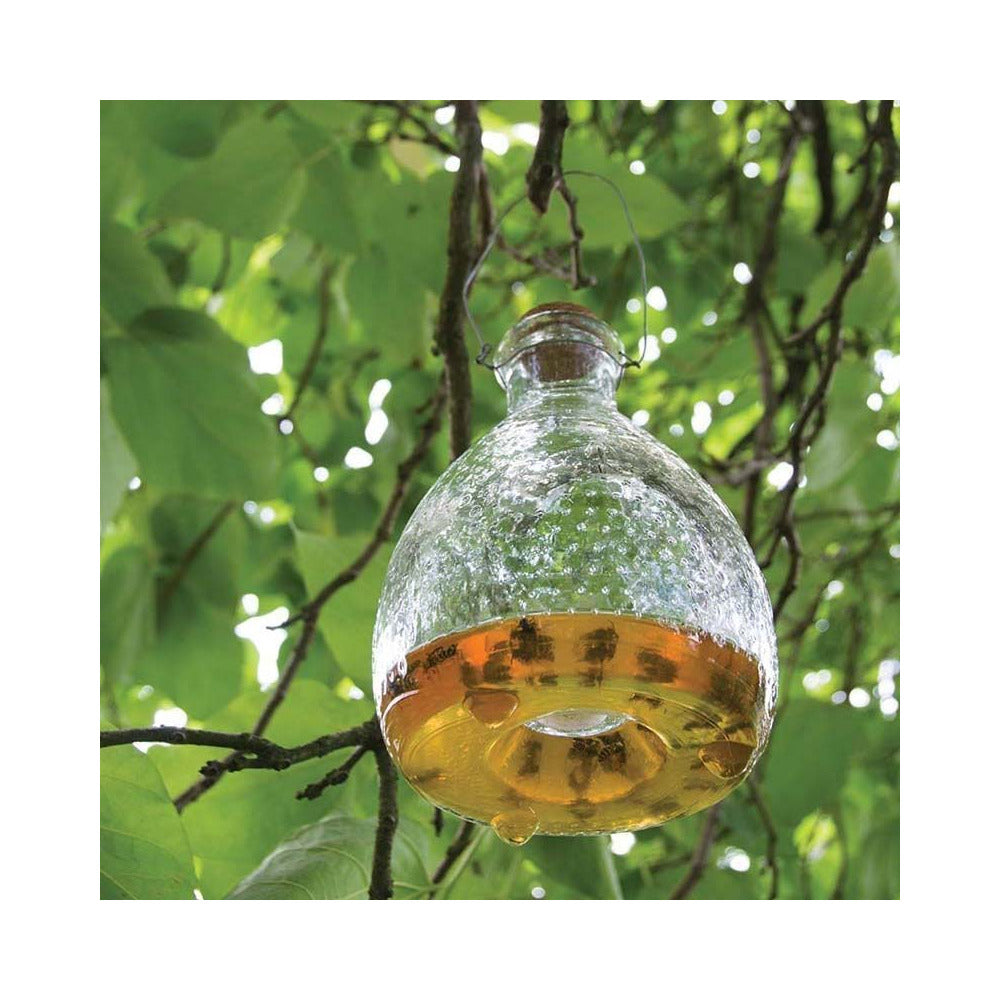 ESSCHERT DESIGN Attrape Guêpes En Verre Chiné (lot De 2)