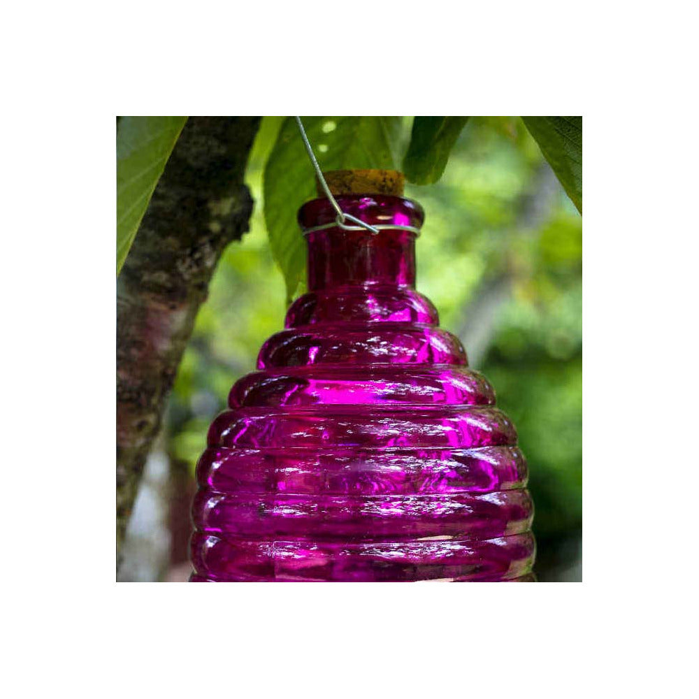  Piège à Guêpes En Verre 9.5 Cm (lot De 2)