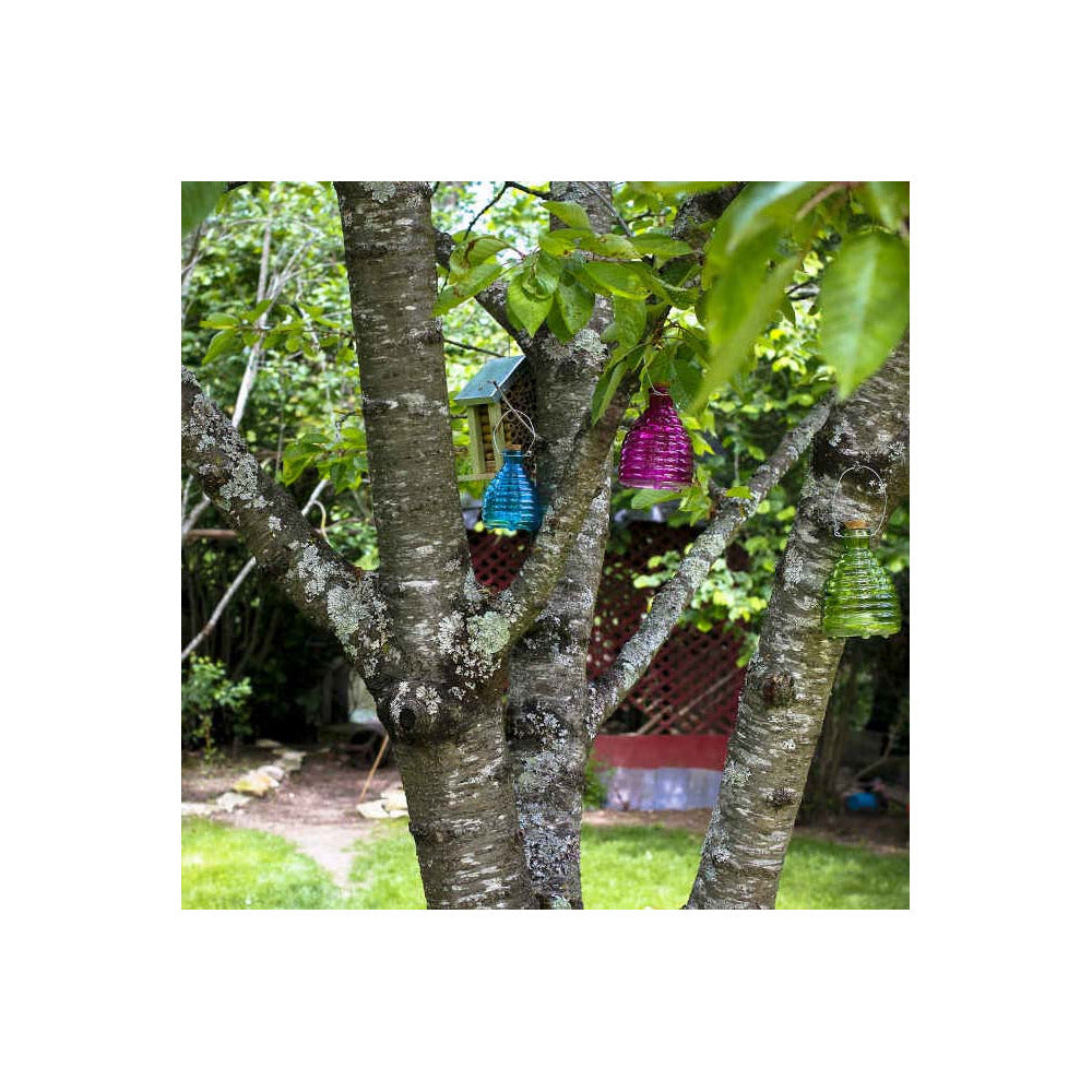  Piège à Guêpes En Verre 9.5 Cm (lot De 2)