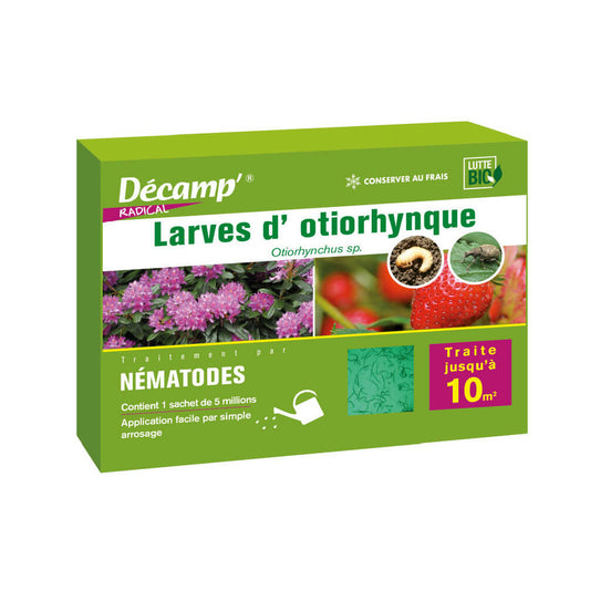  Nématodes Spécifiques Contre Les Otiorhynques 5 Millions