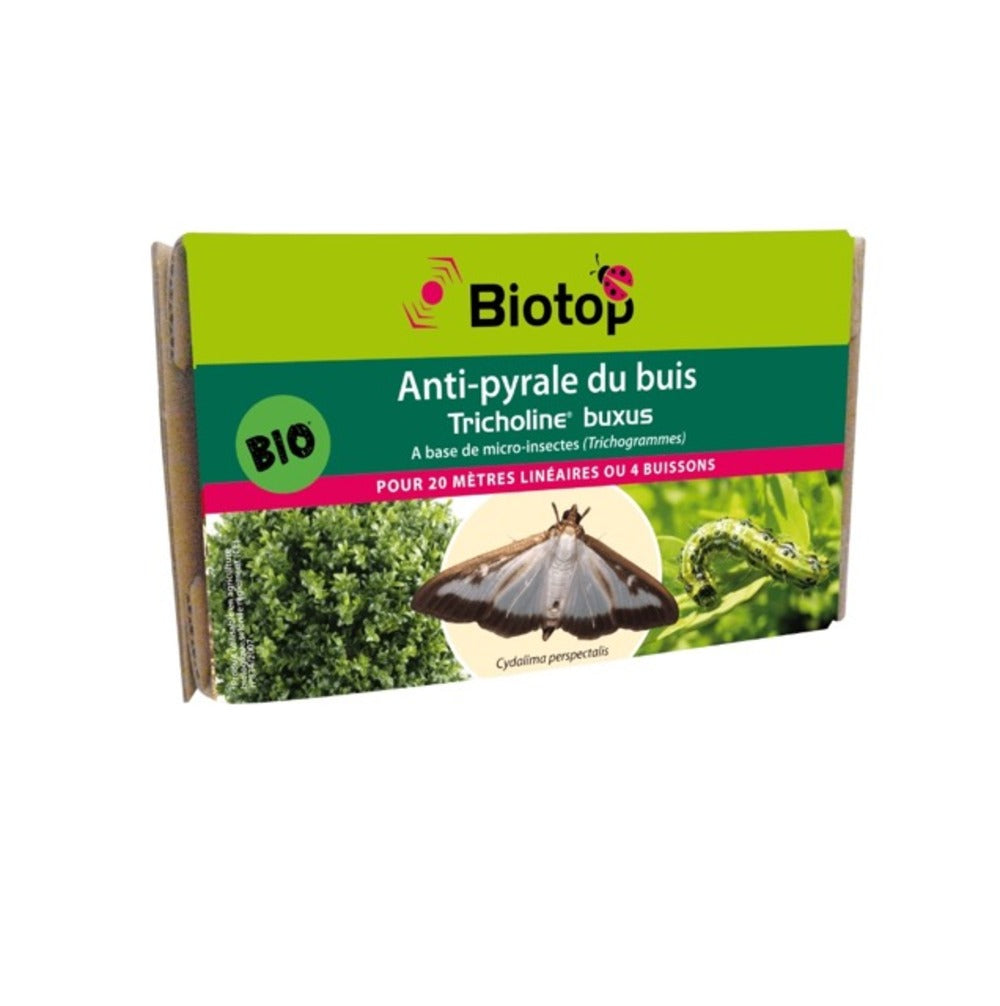  Trichogrammes Anti Pyrale De Buis Tricholine Buxus