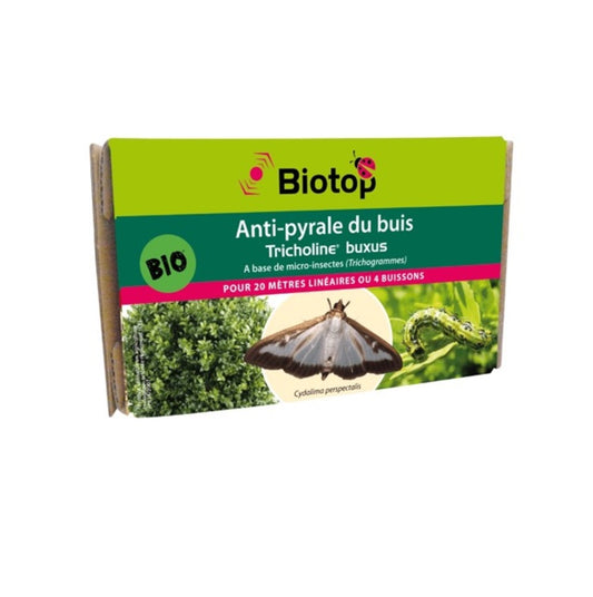  Trichogrammes Anti Pyrale De Buis Tricholine Buxus