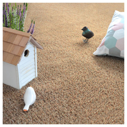  Gazon Synthétique Arty - Couleur Beige - 20mm - 2m X 6m
