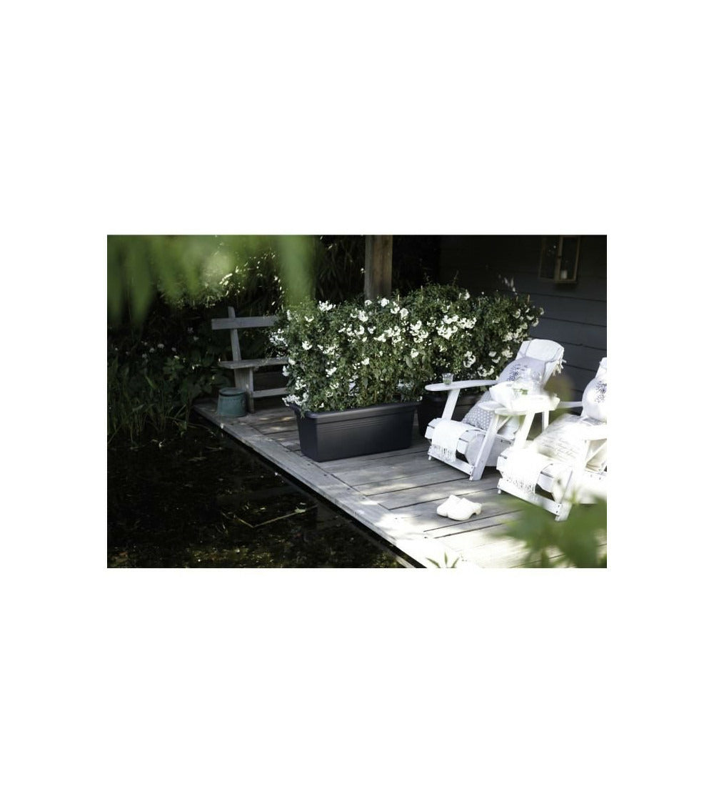 Elho Jardiniere Green Basics 60 - Vivre Noir - Extérieur - Xxl - L 29,5 X W 59,2 X H 27,7 Cm