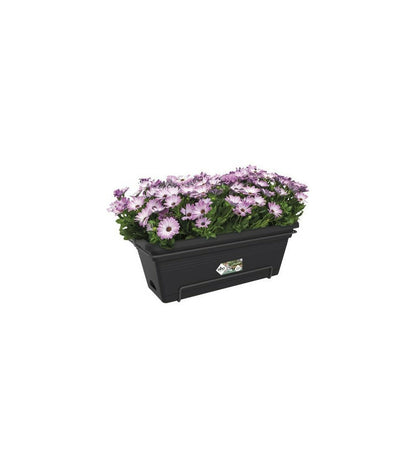 Elho Balconniere Green Basics Allin1 55 - Extérieur & Balcon - Xl - L 32,3 X W 56,4 X H 22,7 Cm - Vivre Noir