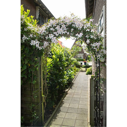 Nature Arche De Jardin Métal 229x38x113 Cm Noir