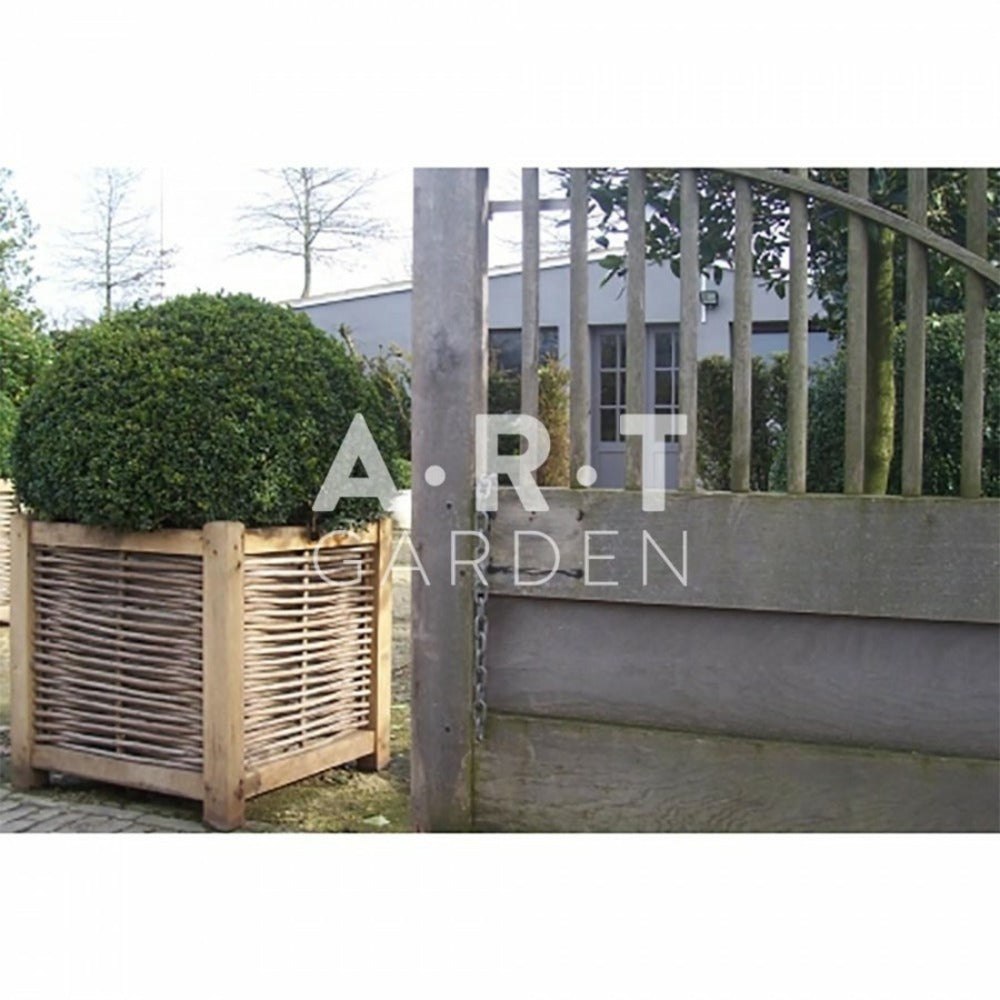  Jardinière En Chêne Avec Tressage Noisetier - Avec Bac Intérieur - 80 X 80 X 80 Cm
