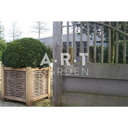  Jardinière En Chêne Avec Tressage Noisetier - Avec Bac Intérieur - 80 X 80 X 80 Cm