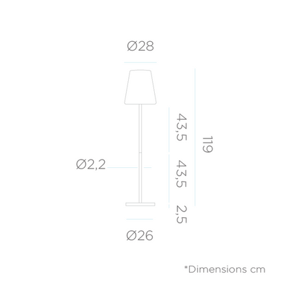  Lampadaire Lola Slim 120cm Pied En Métal Anthracite Solaire+batterie Rechargeable Led Rgb Avec Télécommande Hauteur