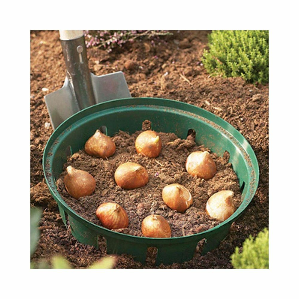  Panier Pour Bulbes Rond 30 Cm (lot De 2)