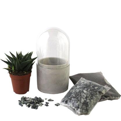  Mini Kit Terrarium Succulente Vert