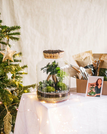  Kit Diy Terrarium - Cortica & Son Kit Outils