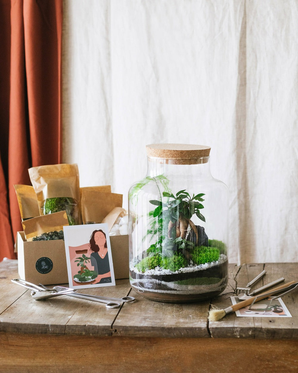  Kit Diy Terrarium - Cortica & Son Kit Outils