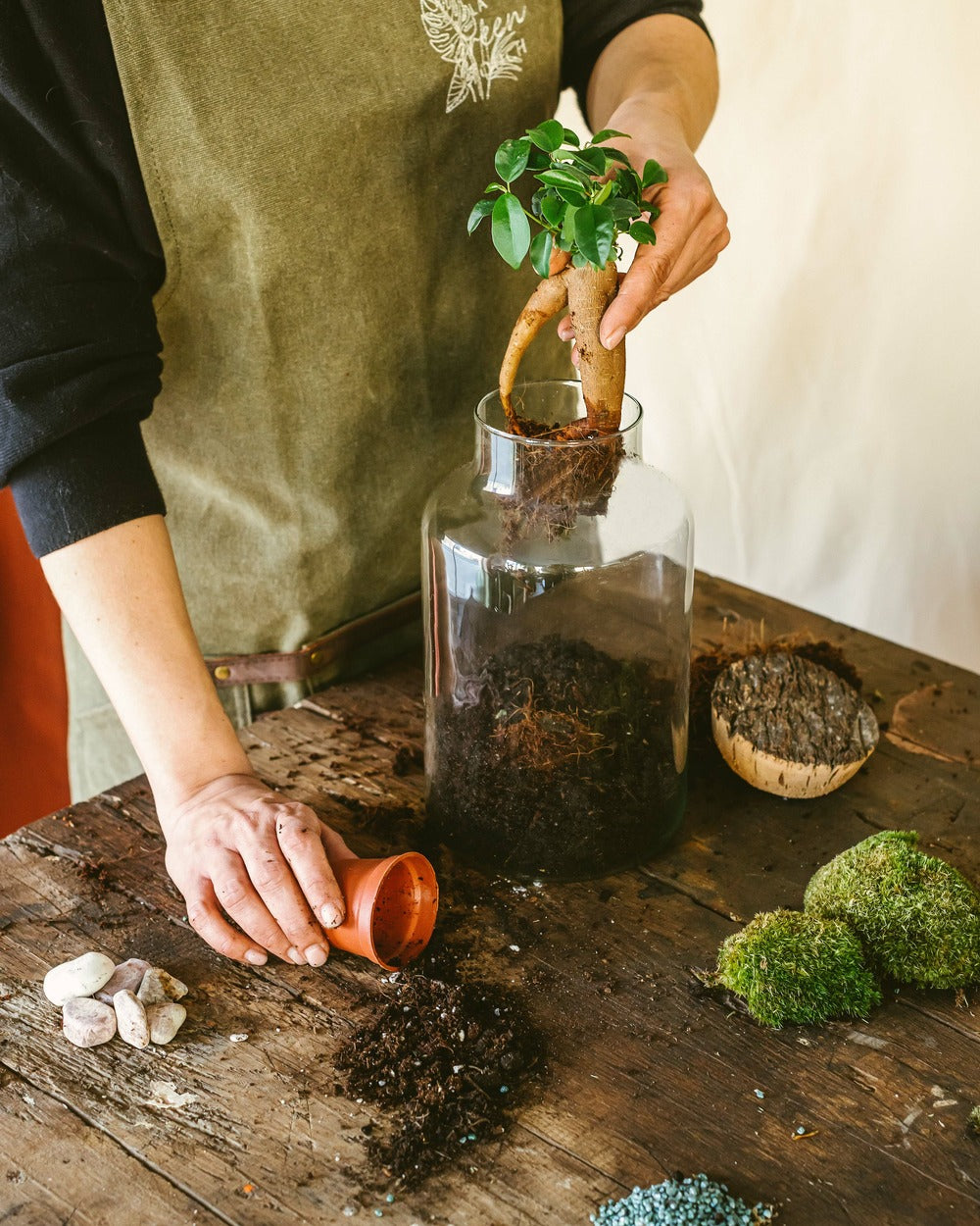  Kit Terrarium Diy - Napoli