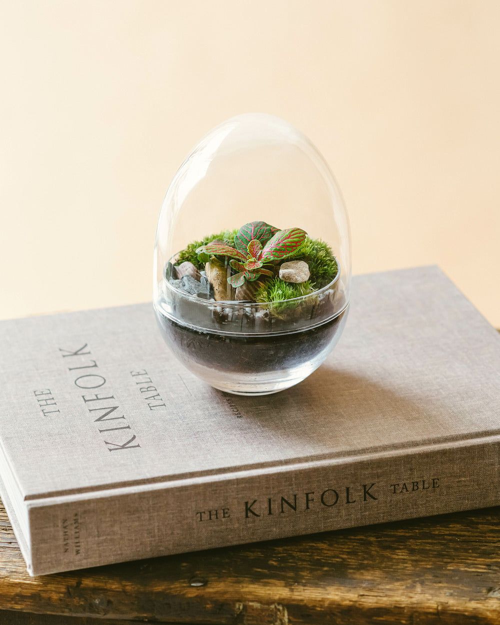 Kit Terrarium Diy - Mini Bohol
