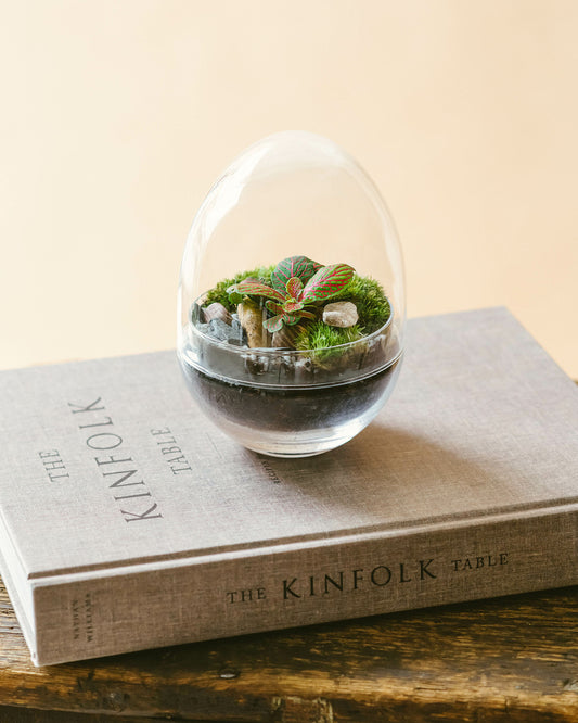  Kit Terrarium Diy - Mini Bohol