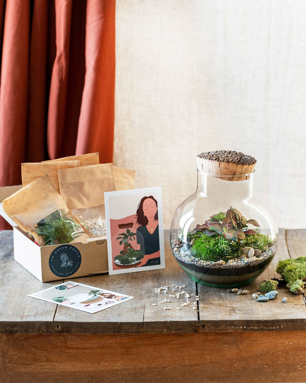  Kit Terrarium Diy - Noumea