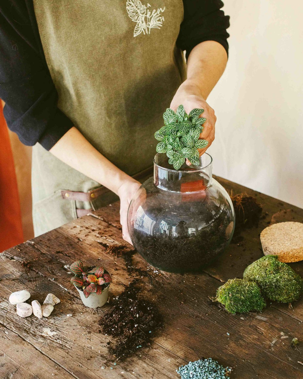  Kit Terrarium Diy - Noumea
