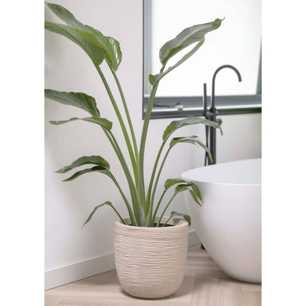  Pot à Fleurs Waste Rib 43x41 Cm Beige Terrazzo