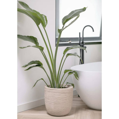  Pot à Fleurs Waste Rib 43x41 Cm Beige Terrazzo
