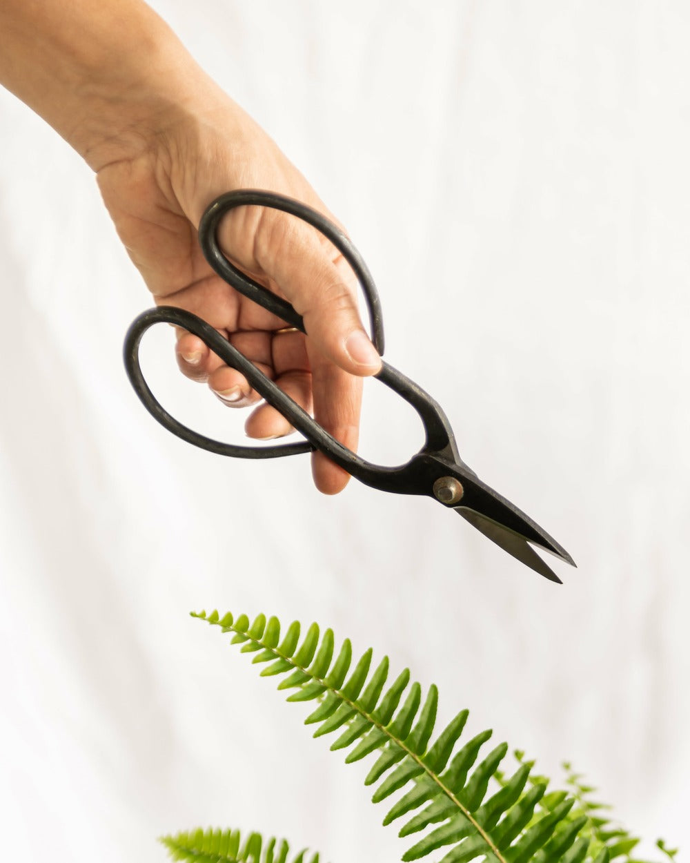  Ciseaux Bonsai
