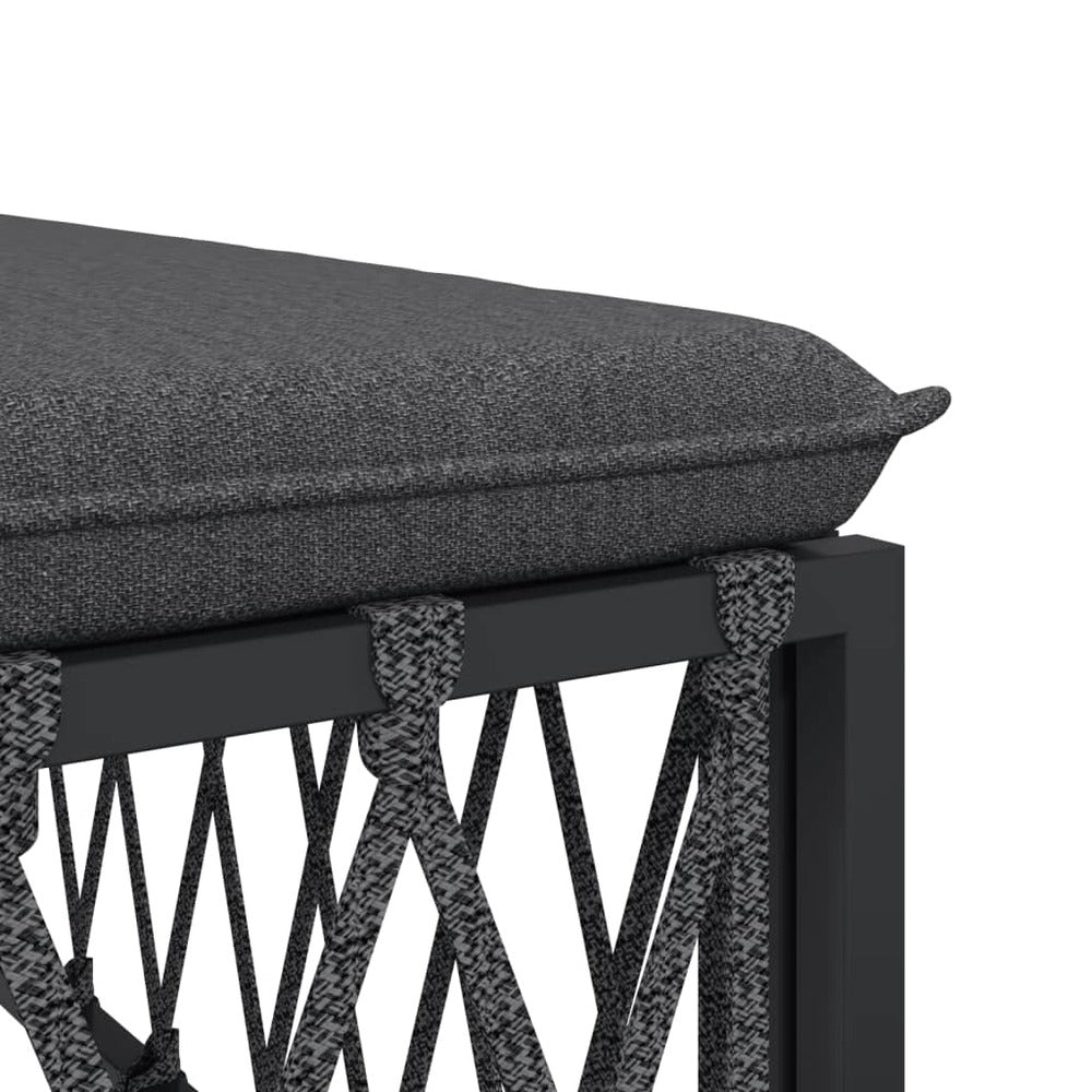 VIDAXL Salon De Jardin Avec Coussins 5 Pcs Anthracite Acier