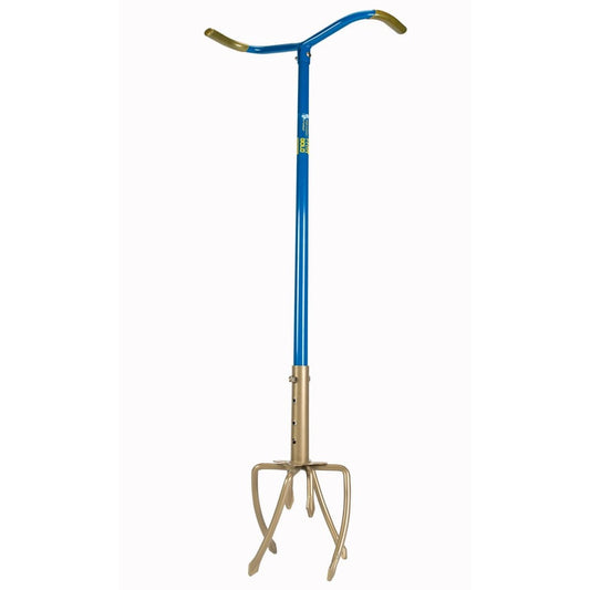  Griffe Doré