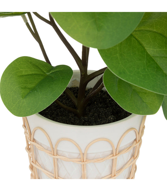 ATMOSPHERA Plante Artificielle Dans Pot En Céramique Et Rotin H 34 Cm