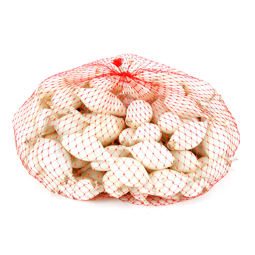  Bulbes D'oignons Blancs 'Snowball' En Filet - 500 G