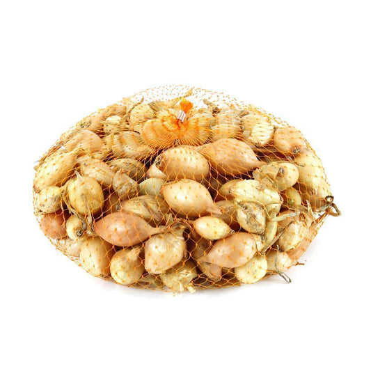  Bulbes D'oignons 'Sturon' En Filet - 500 G