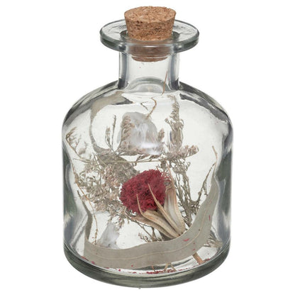 ATMOSPHERA Fleurs Séchées Dans Bouteille En Verre D 8 X H 11 Cm