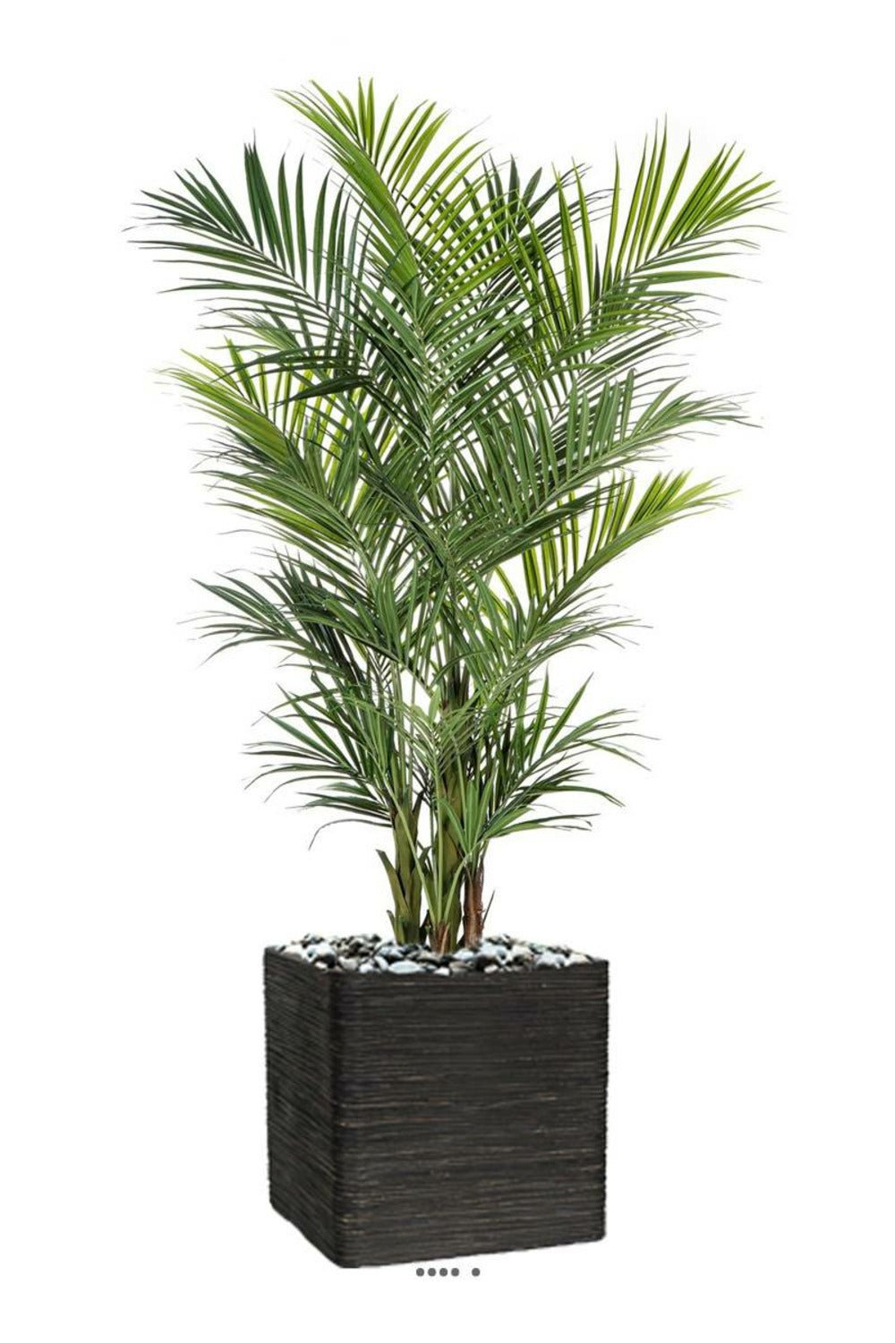  Palmier Kentia Artificiel Deluxe H 260 Cm 766 Feuilles