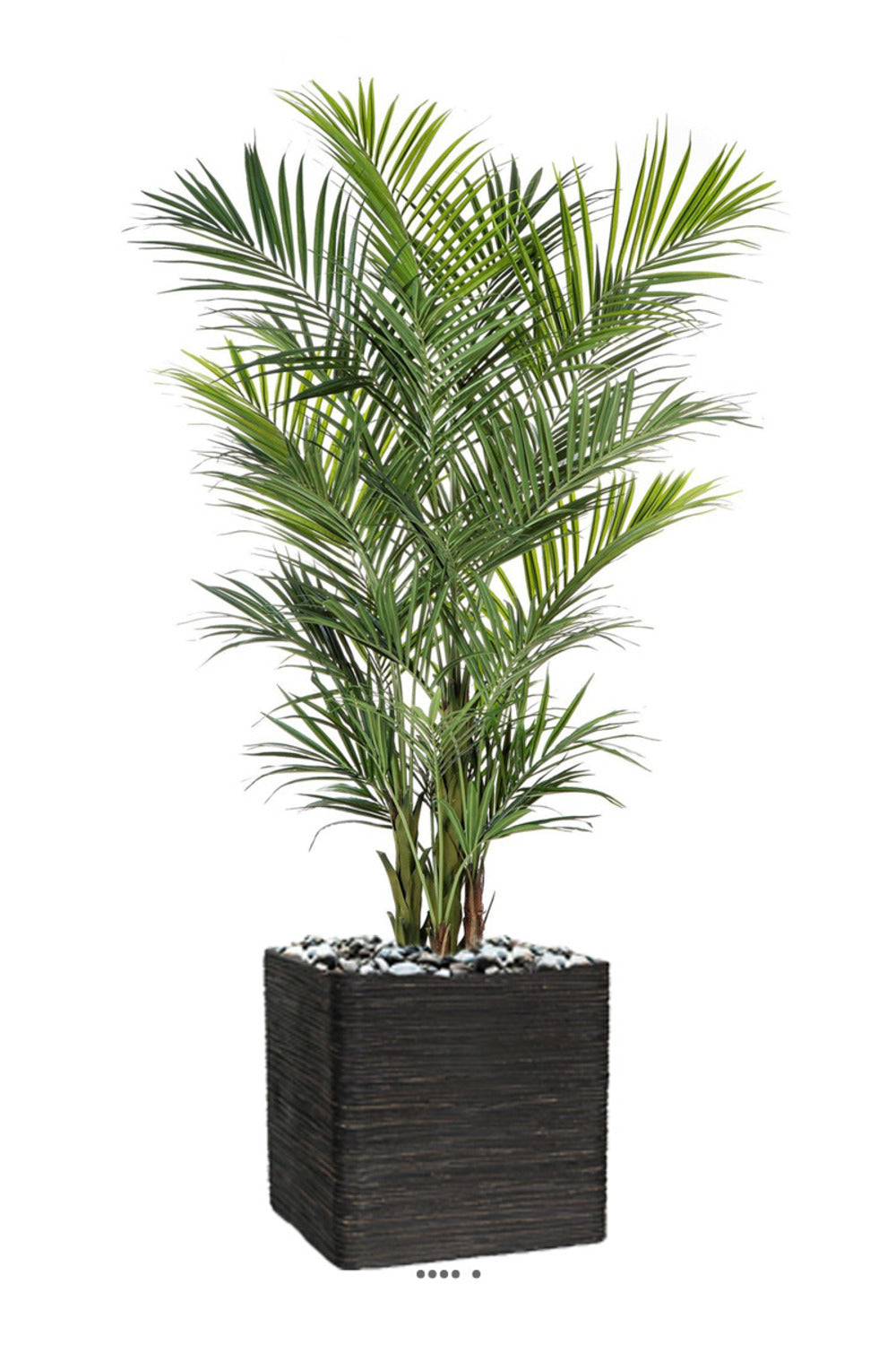  Palmier Kentia Artificiel Deluxe H 260 Cm 766 Feuilles