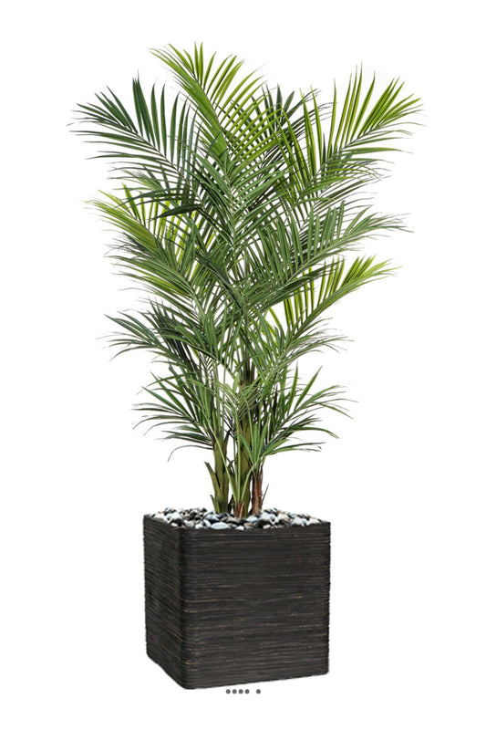  Palmier Kentia Artificiel Deluxe H 260 Cm 766 Feuilles