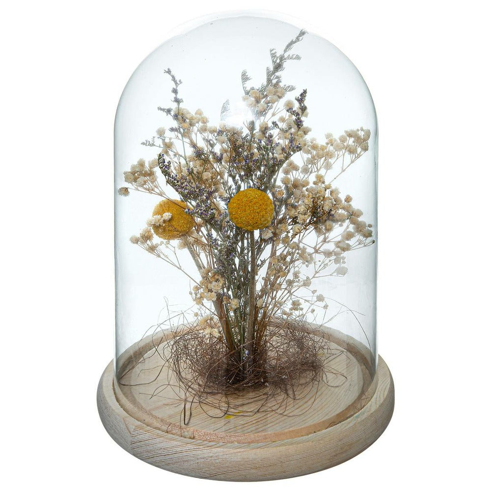  Fleurs Séchées Sous Cloche "folk" H26 Cm