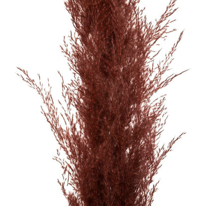  Set De 3 Fleurs Séchées "pampa Naturelle" - H110 Cm