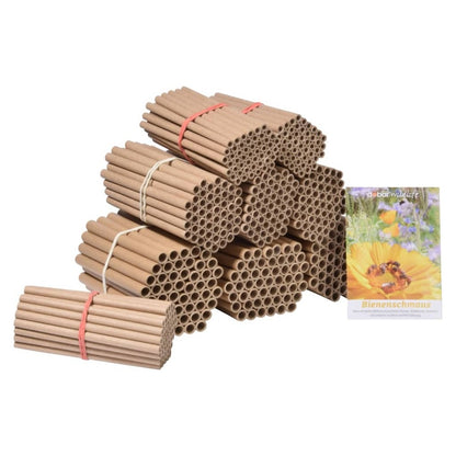  Ensemble De Tubes En Papier Et Mélange De Graines 450 Pcs