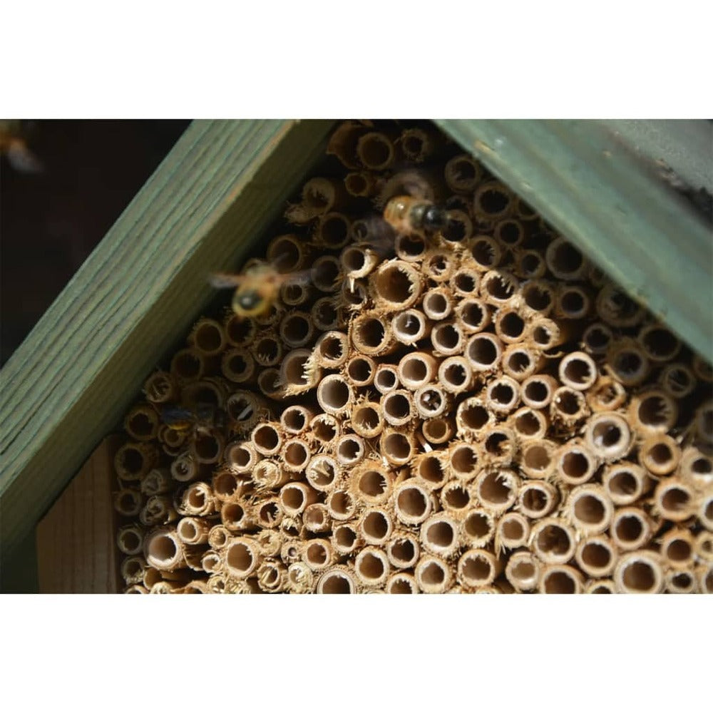  Hôtel à Insectes Naturel, Rouge Et Vert